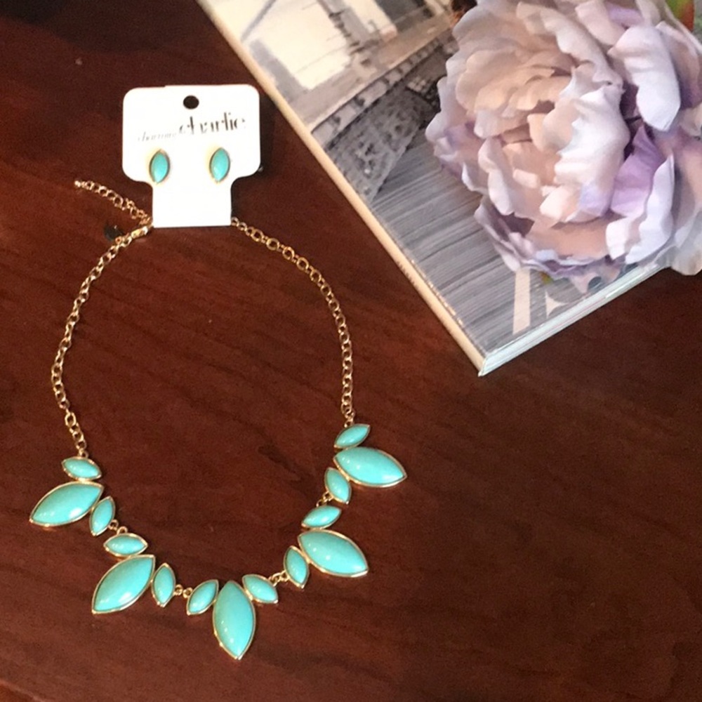 Statement Necklace and Earring Set NWT